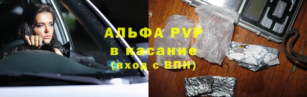 стаф Бугульма