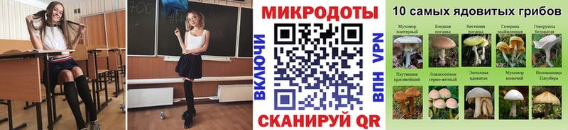 купить наркотик  Яранск  Галлюциногенные грибы GOLDEN TEACHER 